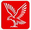Falck Rescue
